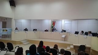 Câmara Mirim realiza 2ª sessão Câmara Mirim realiza 2ª sessão